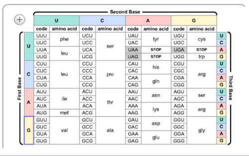 10. use the chart below to determine the amino acid sequence of the following strand of mrna.
