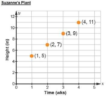 Megan and suzanne each have a plant. they track the growth of their plants for four weeks. whose pla