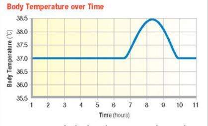 Is the body in homeostasis during the entire time shown in the graph? explain your answer.