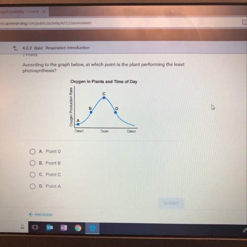 According to the graph below, at which point is the plant preforming the least photosynthesis?