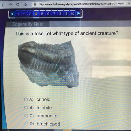 (! ) this is a fossil of what type of ancient creature?  a) crinoid b) trilobite