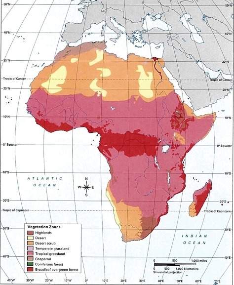 Use the attached map to answer the questions. what is the least common vegetation found in africa?