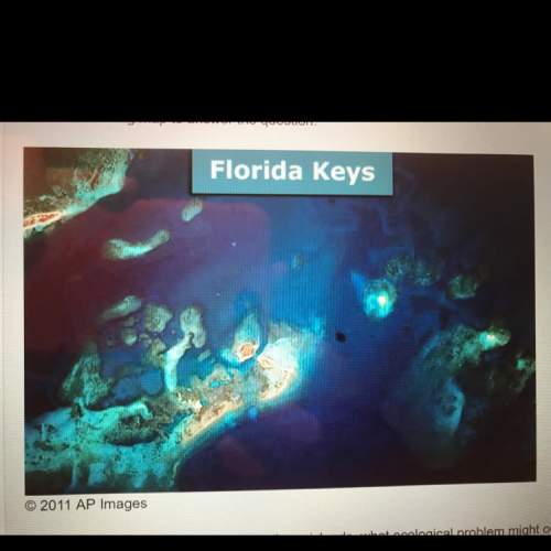 If there was a large-scale oil spill near these islands, what ecological problem might occur? a) th