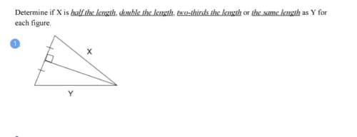Determine if the segment x is half the length, double the length, two thirds the length, or the same