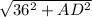 \sqrt{36^{2}+AD^{2}}