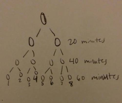 If fission takes place every 20 minutes in some bacteria, then starting with one bacterial, how many