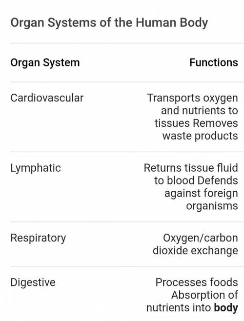 Description of the functions of the organ systems

Organs of both systems labeled in the document 
A