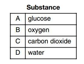 The chart below lists substances involved in the process of photosynthesis

which statement best des