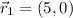 \vec r_{1} = (5,0)