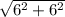 \sqrt{6^{2}+ 6^{2} }