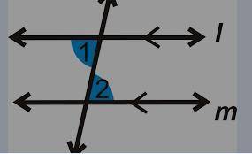 BRIDGE Arturo is designing a bridge for science class using parallel supports for the top and bottom