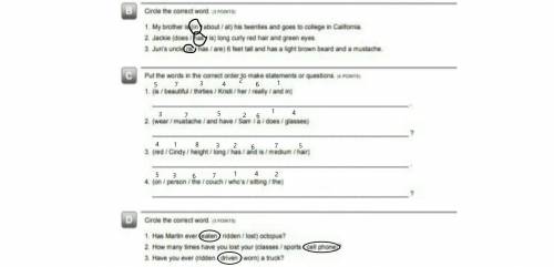 Place solve anyoneplease answer my questions