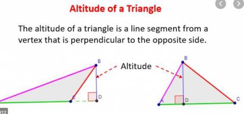 Choose the option with the correct name of segment/line/ray shown.

a. perpendicular bisector
b. ang