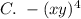 C.\ -(xy)^4