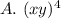 A.\ (xy)^4