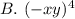 B.\ (-xy)^4