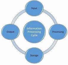 Choose all stages of the information processing cycle.