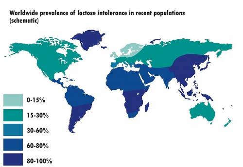 In what part of the world is the mutation for lactose tolerance most concentrated?