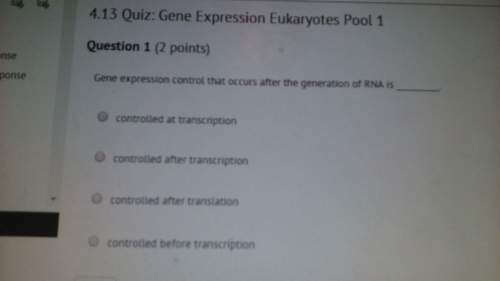 Do what is on the attachments and make surr that you answer all of the questions