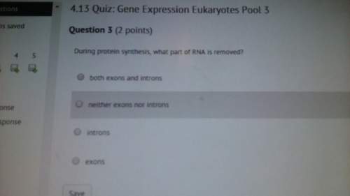 Do what is on the attachments and make surr that you answer all of the questions