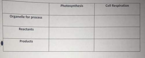 If anyone can me fill out the table bc all my answers were wrong