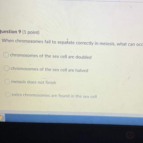 When chromosomes fail to separate correctly in meiosis what can occur
