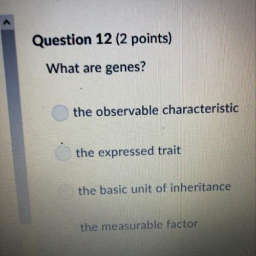 What are genes?  the observable characteristic the expressed trait the basic unit