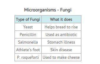 Lamont and his lab partner were filling out a worksheet on microorganisms. the table they filled in