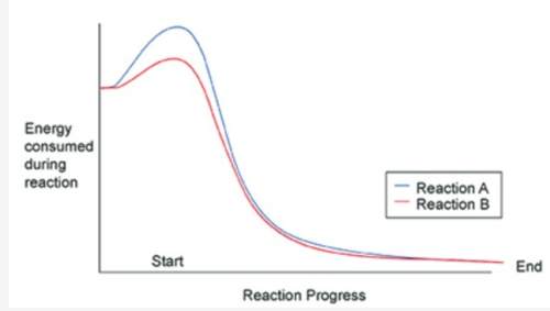 The graph above shows the progress of a chemical reaction. based on the graph, which of the followin