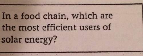 In a food chain which are ‘ the most efficient users of solar energy