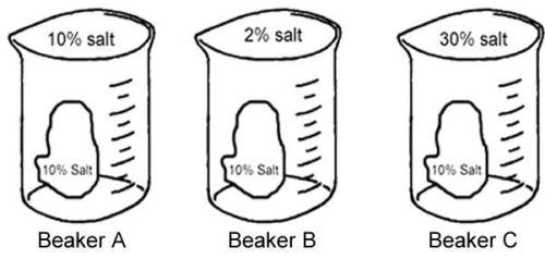 15 will give ! me!  a cell containing 5% salt is placed into a glass of water with 20% sal