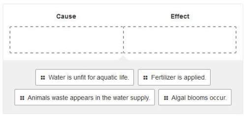 Drag each item to indicate whether it is a cause or effect of nutrient increase in the water supply.