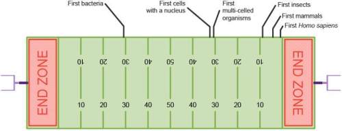 The diagram shows a football field that represents a geological time scale.