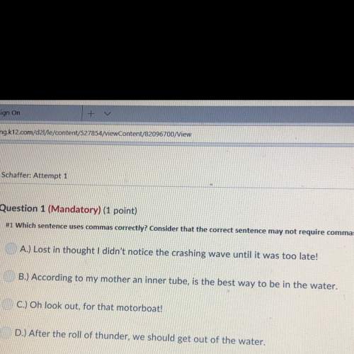 Which sentence uses commas correctly consider that the correct sentence may not require commas