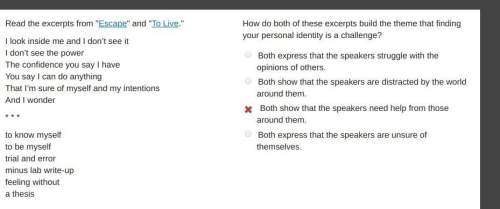 How do both of these excerpts build the theme that finding your personal identity is a challenge?