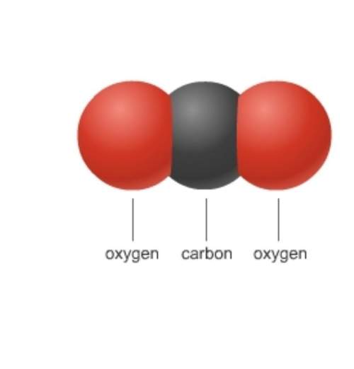 Asap! which type of bond does this molecule have?