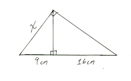 (99 points) using similarity solve for x. show all work