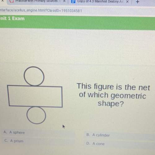 This figure is the net of which geometric shape?