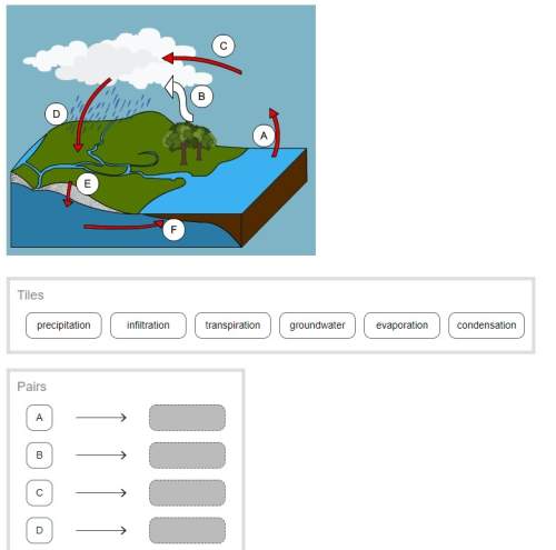 drag the tiles to the correct boxes to complete the pairs.match the stages o