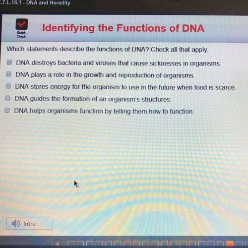 Which statement describe the functions of dna? check all that apply