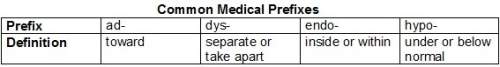 Yvonne made the study chart shown. which statement describes an error in the