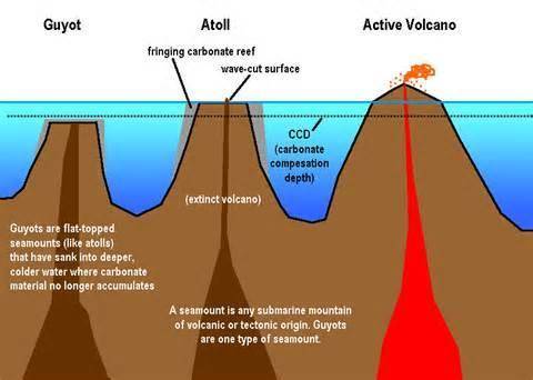 PLEASE HELP, WILL MARK BRAINLEST

Examine the following image. Which ocean-floor feature is indicate