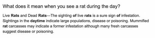 1. Which is the following statements regarding rodents is true?

a. Sighting a rat during the day in