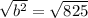 \sqrt{b^{2} } = \sqrt{825}