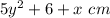 5y^2 +6 + x\ cm