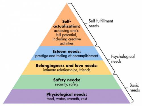 Where would you place absence of pain in maslow's hierarchy of needs?  self-esteem basic physiologic