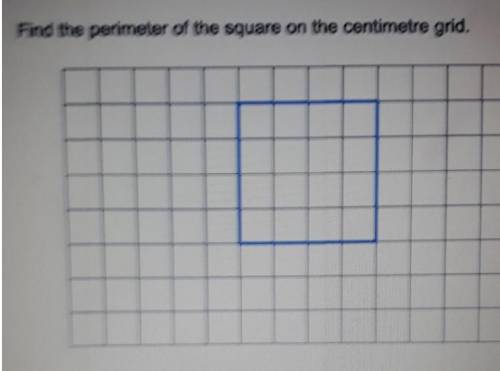 Find the perimeter of the shape on this centimetre grid.