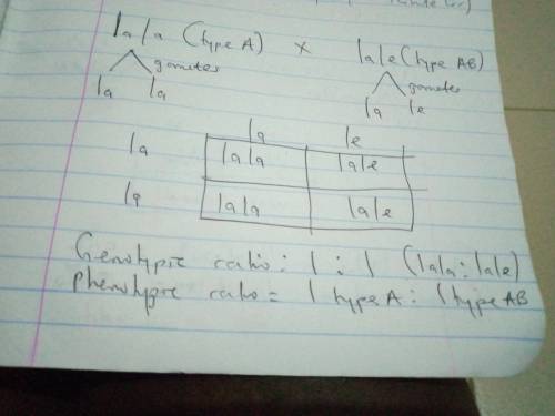 5. Assume that blood type is inherited as A and B dominant over O, but A and B are codominant

over