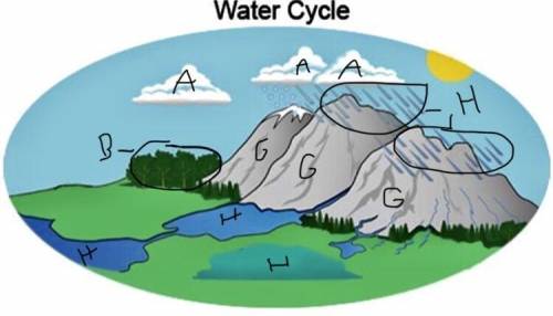 In your diagram, identify objects that represent parts of Earth’s four spheres. Label these objects