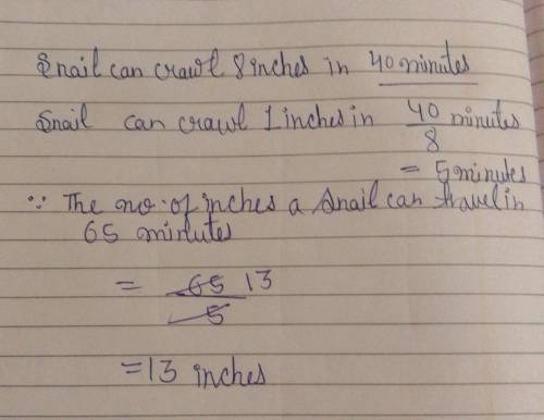 A snail can crawl 8 inches in 40 minutes,

At this rate, how many inches can a snail travel in
65 mi